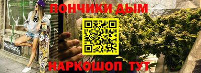 бошки Кингисепп