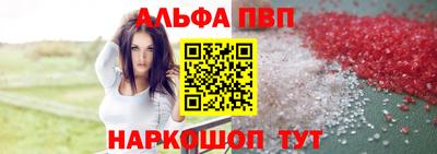 бошки Кингисепп