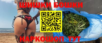 бошки Кингисепп
