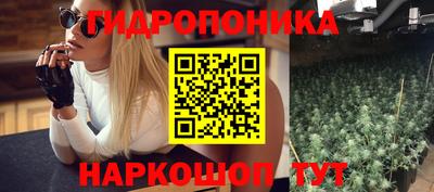 прущие грибы Кимры