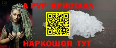 бошки Кингисепп