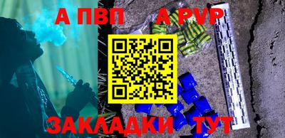 бошки Кингисепп